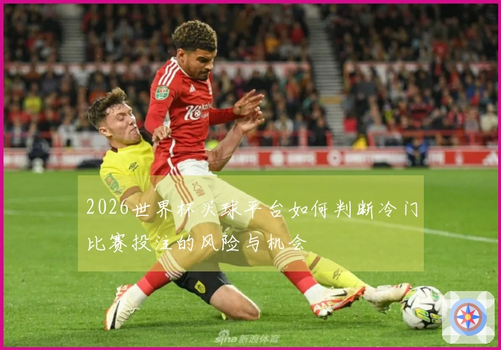 2026世界杯买球平台如何判断冷门比赛投注的风险与机会
