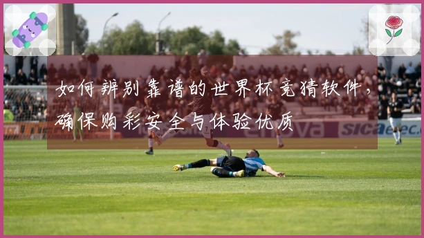 如何辨别靠谱的世界杯竞猜软件，确保购彩安全与体验优质