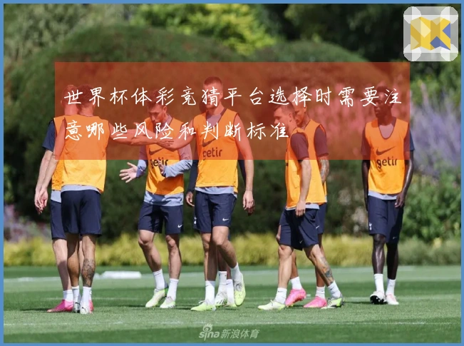 世界杯体彩竞猜平台选择时需要注意哪些风险和判断标准
