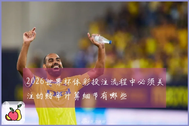 2026世界杯体彩投注流程中必须关注的赔率计算细节有哪些