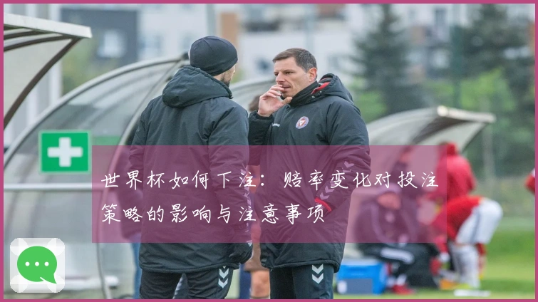 世界杯如何下注：赔率变化对投注策略的影响与注意事项