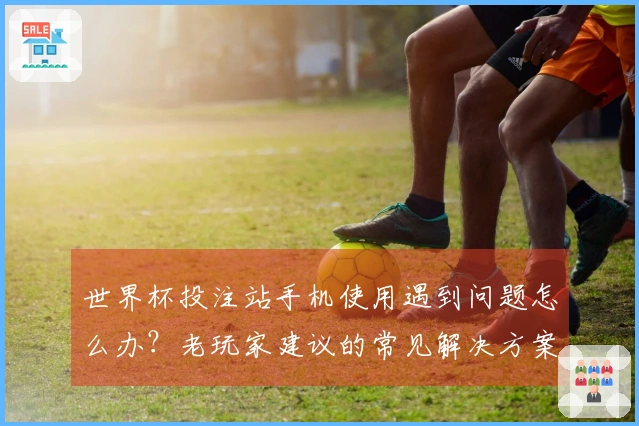 世界杯投注站手机使用遇到问题怎么办？老玩家建议的常见解决方案