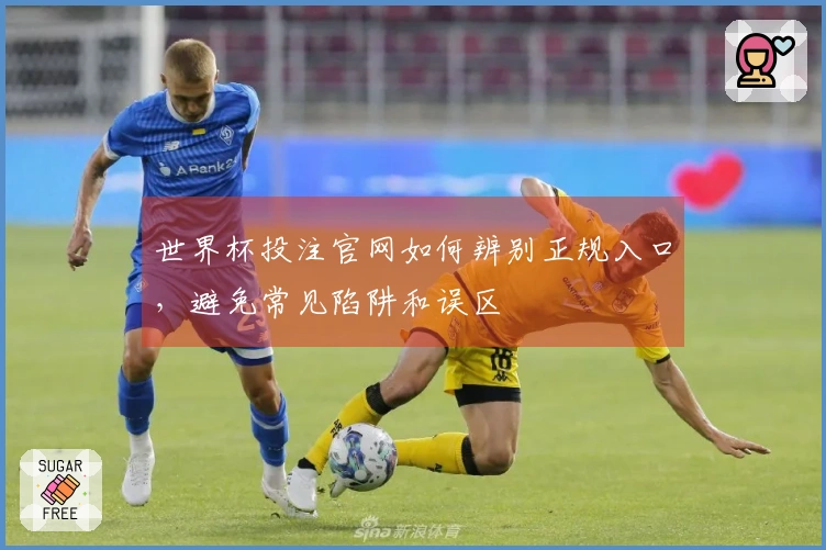 世界杯投注官网如何辨别正规入口，避免常见陷阱和误区