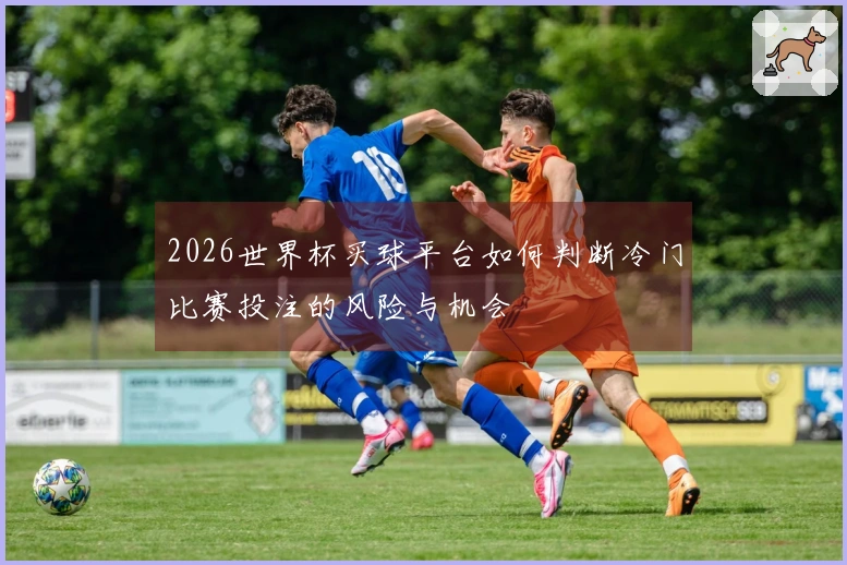 2026世界杯买球平台如何判断冷门比赛投注的风险与机会