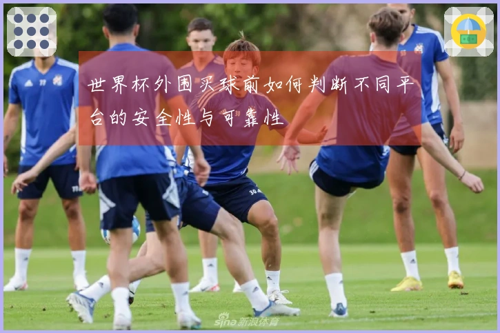 世界杯外围买球前如何判断不同平台的安全性与可靠性