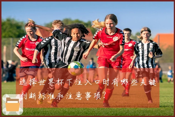 选择世界杯下注入口时有哪些关键判断标准和注意事项？