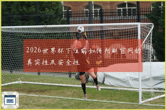 2026世界杯下注前如何判断官网的真实性及安全性