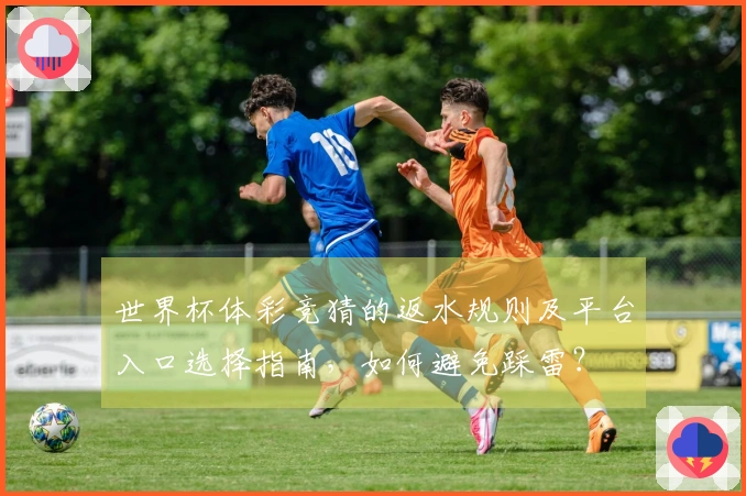 世界杯体彩竞猜的返水规则及平台入口选择指南，如何避免踩雷？