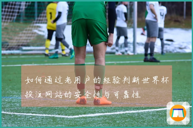如何通过老用户的经验判断世界杯投注网站的安全性与可靠性