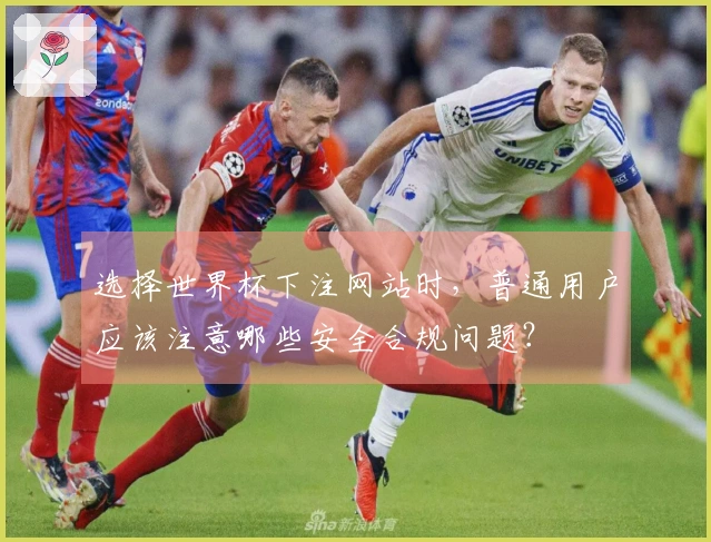 选择世界杯下注网站时，普通用户应该注意哪些安全合规问题？