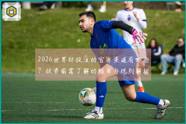 2026世界杯投注的官方渠道有哪些？投资前需了解的赔率与规则解析