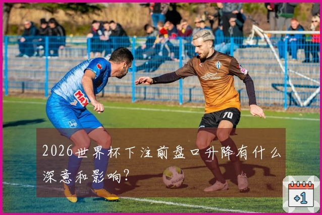 2026世界杯下注前盘口升降有什么深意和影响？