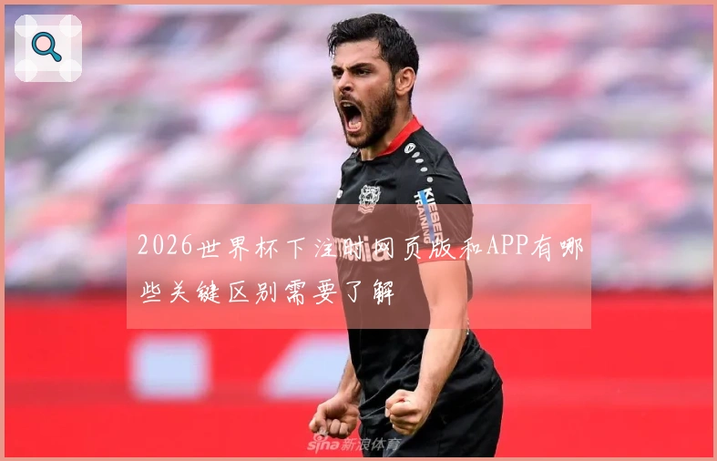 2026世界杯下注时网页版和APP有哪些关键区别需要了解
