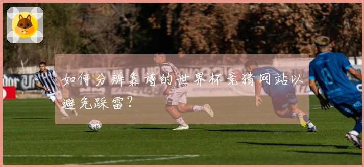 如何分辨靠谱的世界杯竞猜网站以避免踩雷？