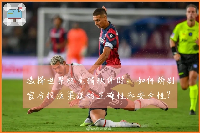 选择世界杯竞猜软件时，如何辨别官方投注渠道的正确性和安全性？