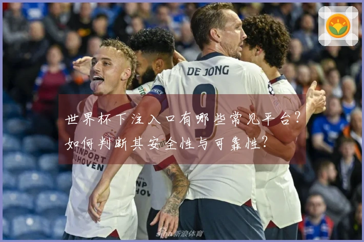世界杯下注入口有哪些常见平台？如何判断其安全性与可靠性？
