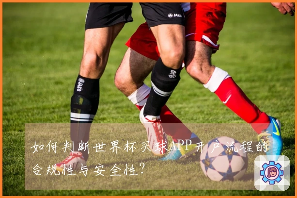 如何判断世界杯买球APP开户流程的合规性与安全性？
