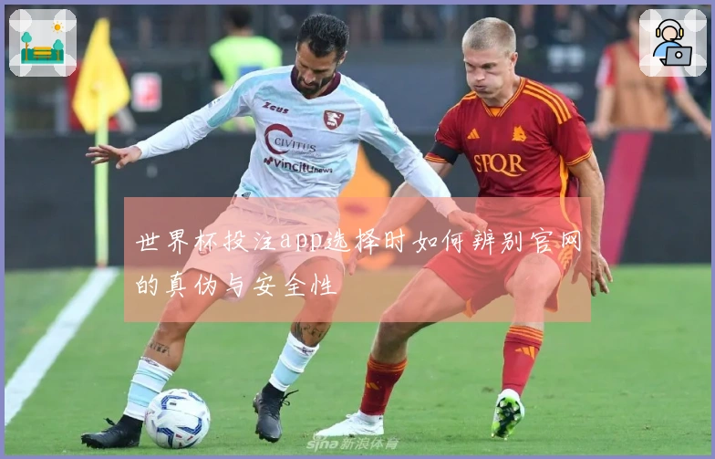 世界杯投注app选择时如何辨别官网的真伪与安全性