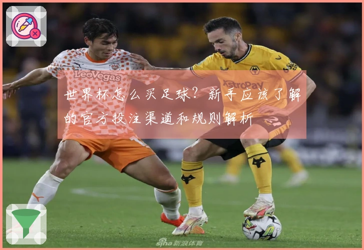 世界杯怎么买足球？新手应该了解的官方投注渠道和规则解析