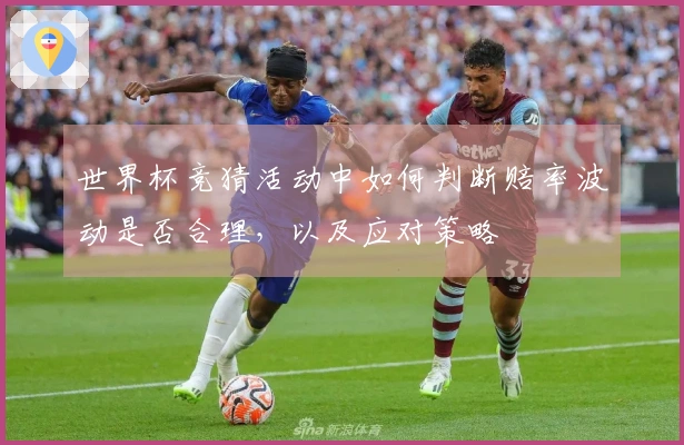 世界杯竞猜活动中如何判断赔率波动是否合理，以及应对策略