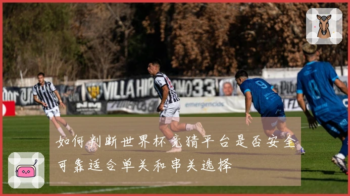 如何判断世界杯竞猜平台是否安全可靠适合单关和串关选择