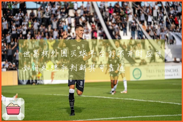 世界杯外围买球平台打不开时应该如何处理和判断其可靠性