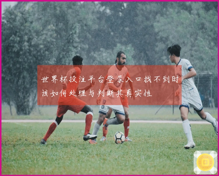 世界杯投注平台登录入口找不到时该如何处理与判断其真实性