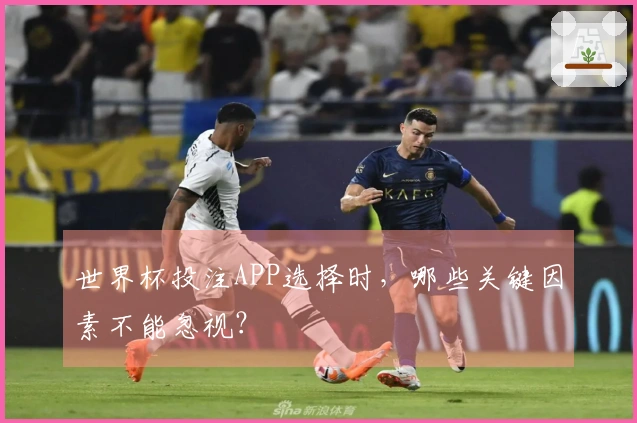 世界杯投注APP选择时，哪些关键因素不能忽视？