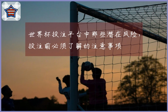 世界杯投注平台中那些潜在风险，投注前必须了解的注意事项