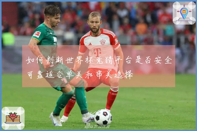 如何判断世界杯竞猜平台是否安全可靠适合单关和串关选择