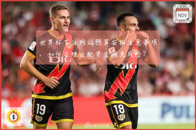 世界杯下注网站预算安排注意事项，如何合理分配资金避免风险？