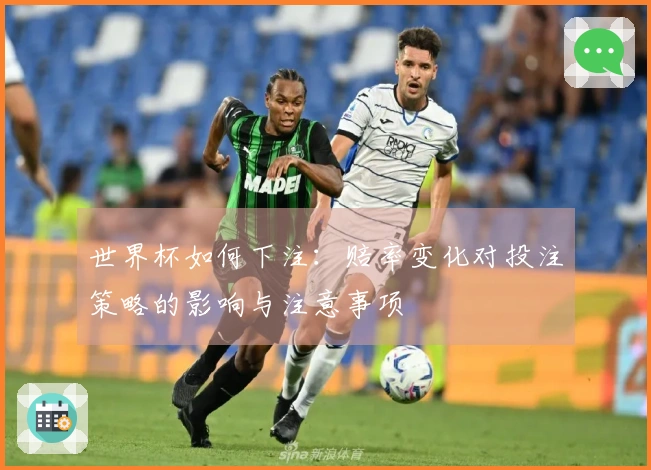 世界杯如何下注：赔率变化对投注策略的影响与注意事项