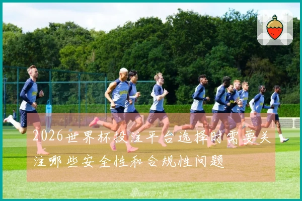 2026世界杯投注平台选择时需要关注哪些安全性和合规性问题