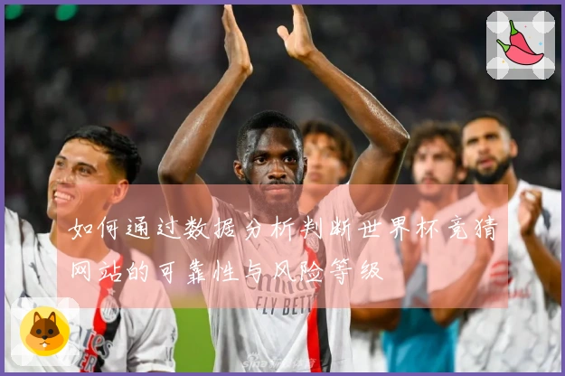 如何通过数据分析判断世界杯竞猜网站的可靠性与风险等级
