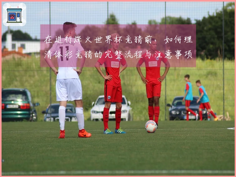 在进行烽火世界杯竞猜前，如何理清体彩竞猜的完整流程与注意事项？