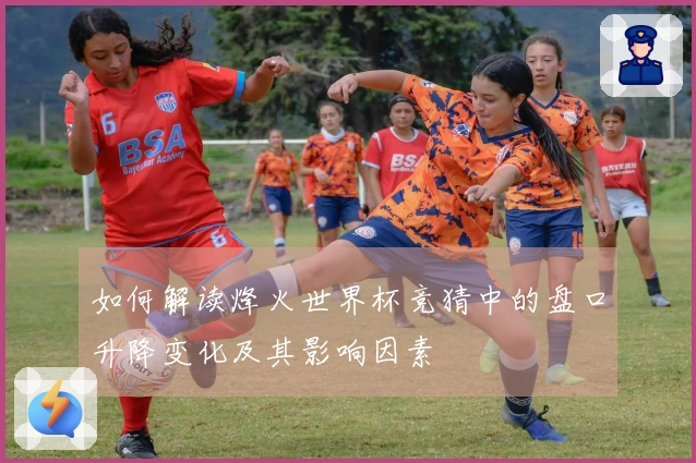 如何解读烽火世界杯竞猜中的盘口升降变化及其影响因素