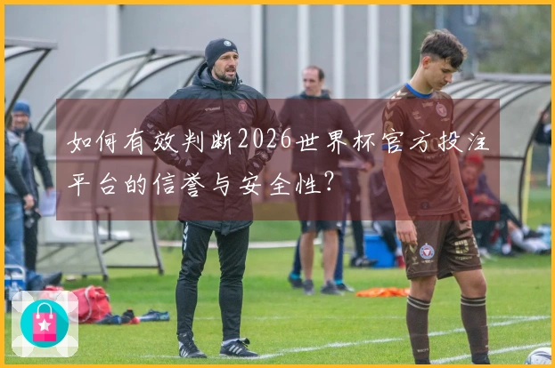 如何有效判断2026世界杯官方投注平台的信誉与安全性？
