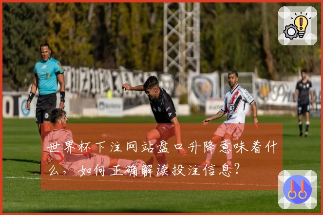 世界杯下注网站盘口升降意味着什么，如何正确解读投注信息？
