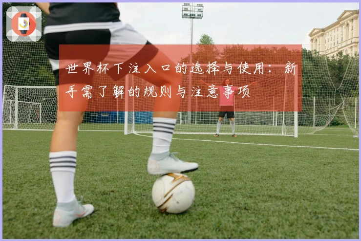 世界杯下注入口的选择与使用：新手需了解的规则与注意事项